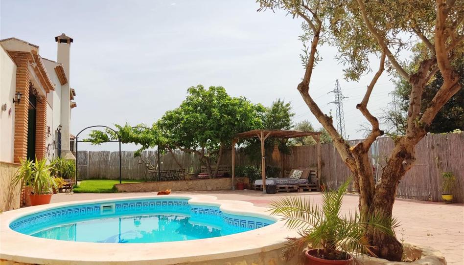 Foto 1 de Finca rústica de lloguer a A-7281, Zona de la Vega, Málaga