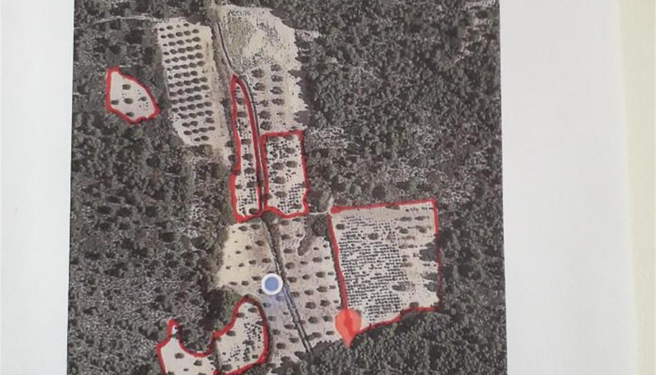 Terreny en venda a Calle Carretera, Ródenas, Teruel - imatge 1 Foto 1 de Terreny en venda a Calle Carretera, Ródenas, Teruel