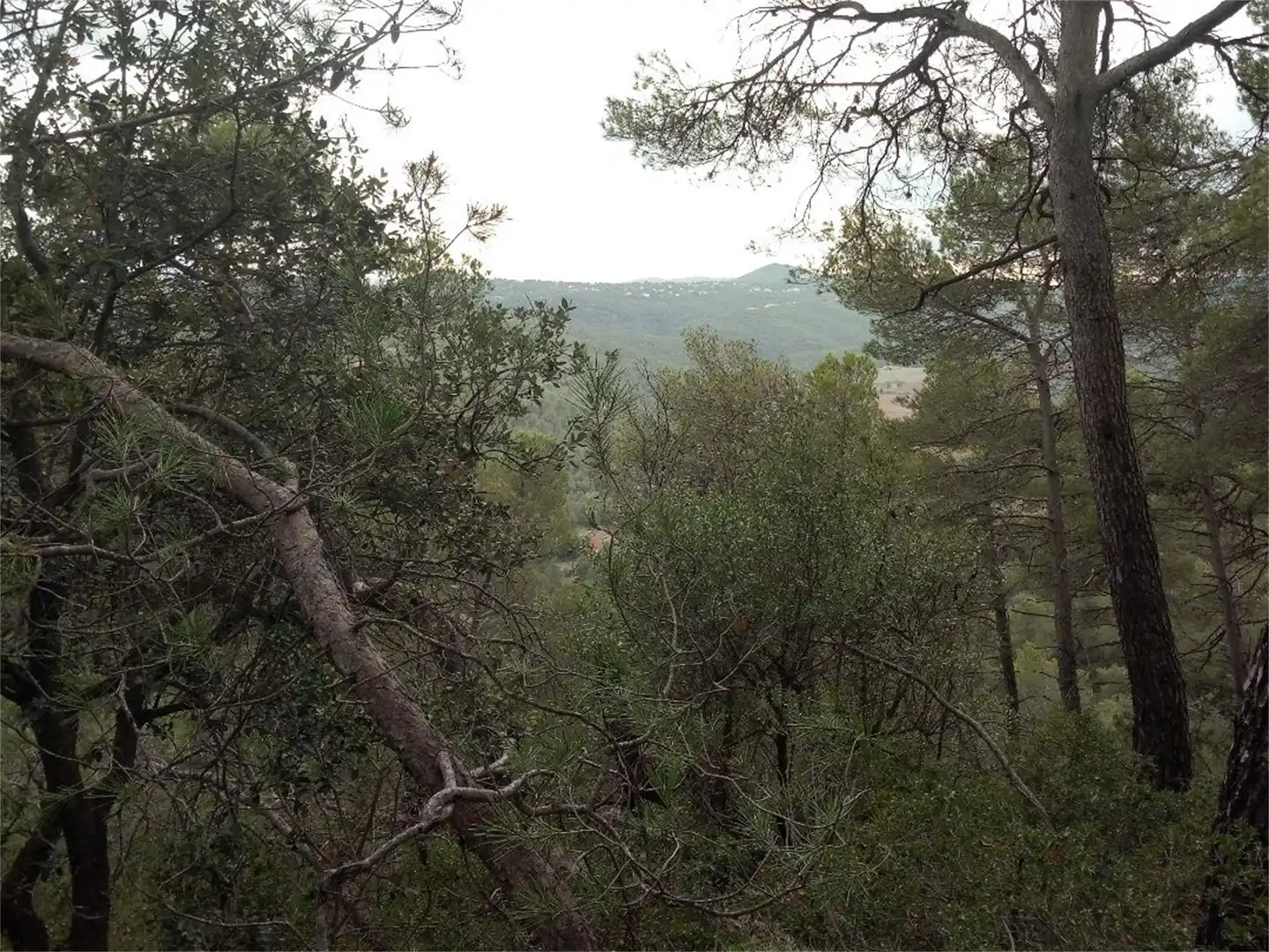 Non-constructible Land for sale in BP-2121, La Llacuna Non-constructible Land for sale in La Llacuna