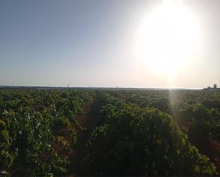 Finca rústica en venda en El Puerto de Santa María