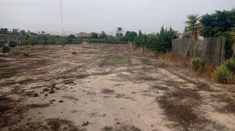 Terreno en venta en Calle del Tomate, La Huerta, Mutxamel - imagen 3 Foto 3 de Terreno en venta en Calle del Tomate, La Huerta, Mutxamel