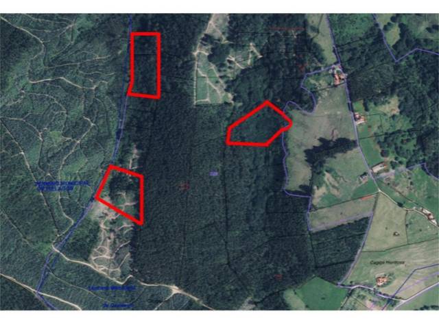 Terreno en Venta en Camargo pueblo