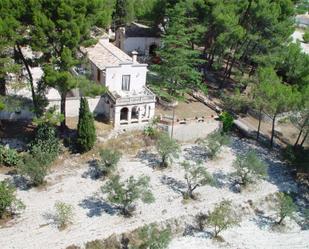 Garden of Country house for sale in Alcoy / Alcoi  with Terrace, Swimming Pool and Balcony