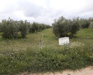 Finca rústica en venda en Peñas de San Pedro