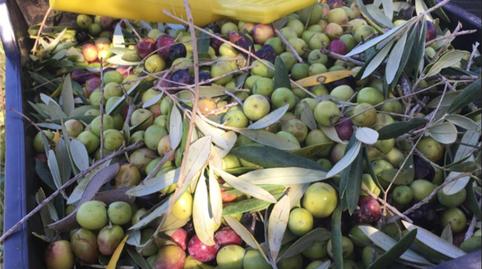 Foto 5 von Country house zum Verkauf in Salomó, Tarragona