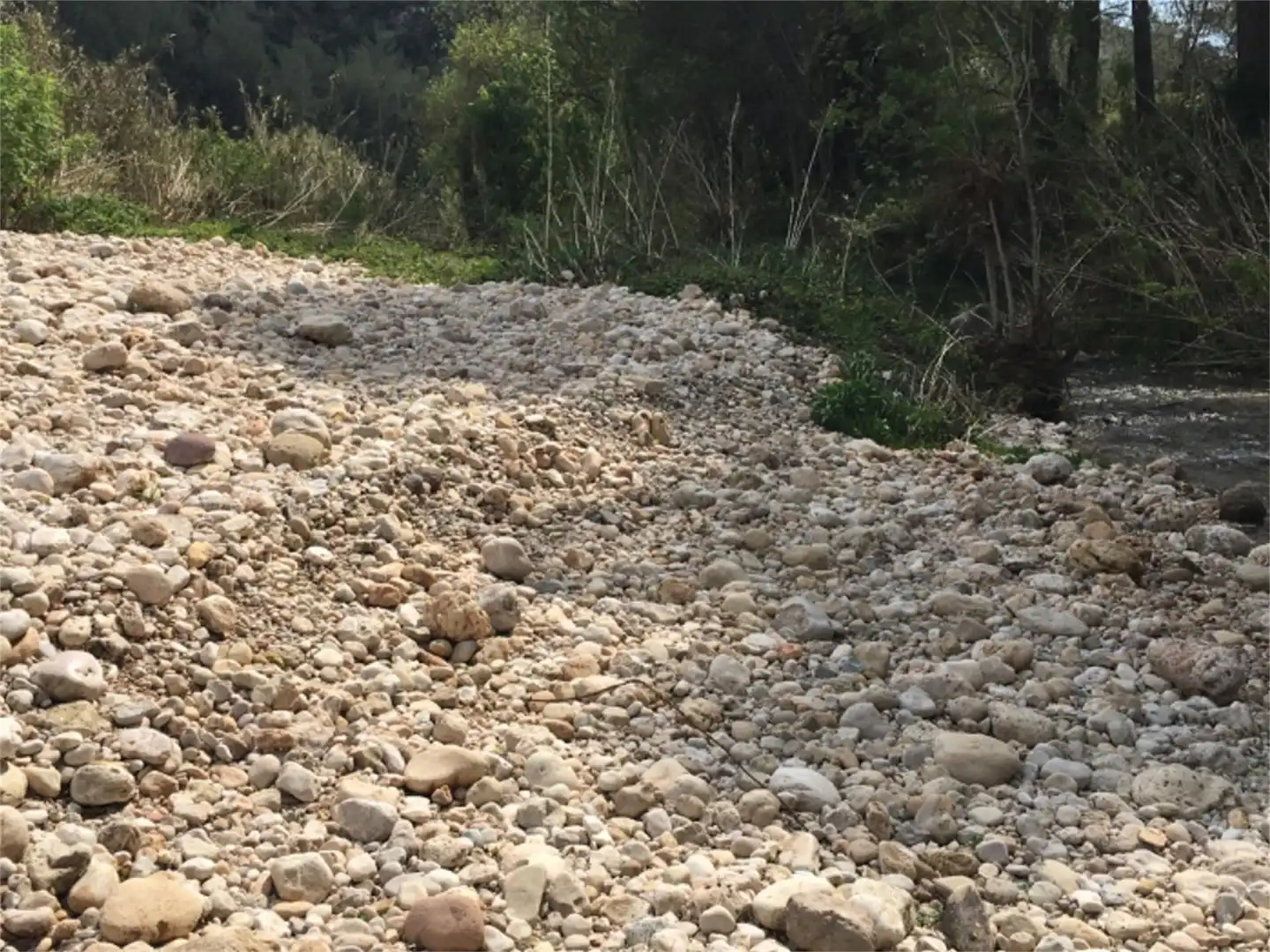 Vista exterior de Finca rústica en venta en Salomó