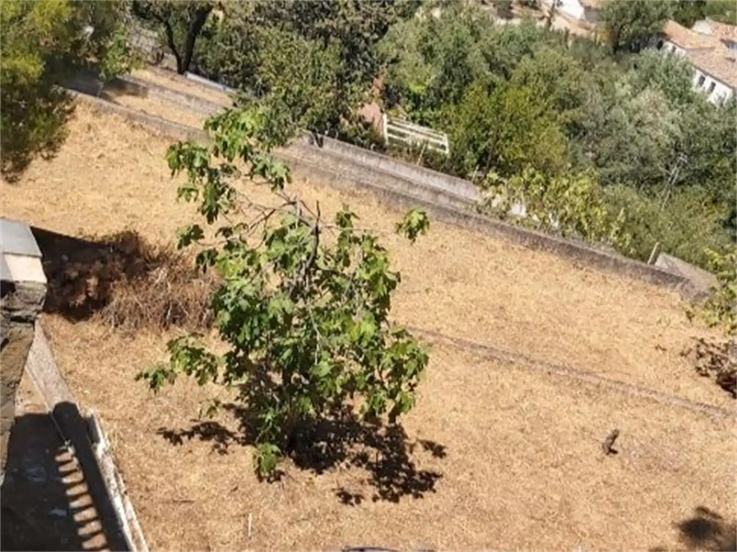 Casa o xalet en venda a Jv-2222, Puente Jontoya - Puente de la Sierra - El Arroyo Casa o xalet en venda en Jaén Capital amb Aire condicionat, Terrassa i Piscina