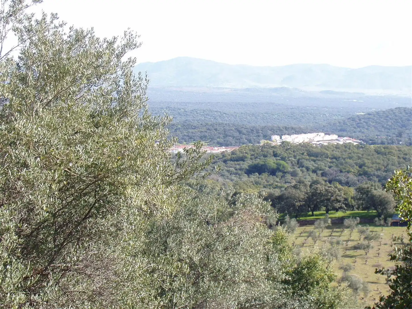 No Urbanitzable en venda a Barriada Minas de Cala, Cala No Urbanitzable en venda en Cala