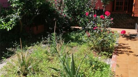 Photo 4 of House or chalet for sale in Calle Pino Alto, La Corujera, Santa Úrsula