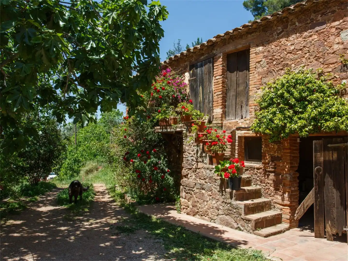 Jardín de Finca rústica en venta en Bigues i Riells del Fai