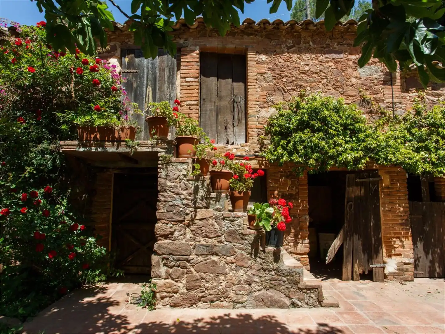 Vista exterior de Finca rústica en venta en Bigues i Riells del Fai