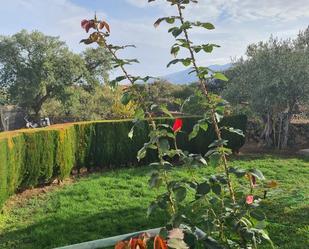 Garden of Planta baja for sale in Oliva de Plasencia  with Air Conditioner, Heating and Private garden