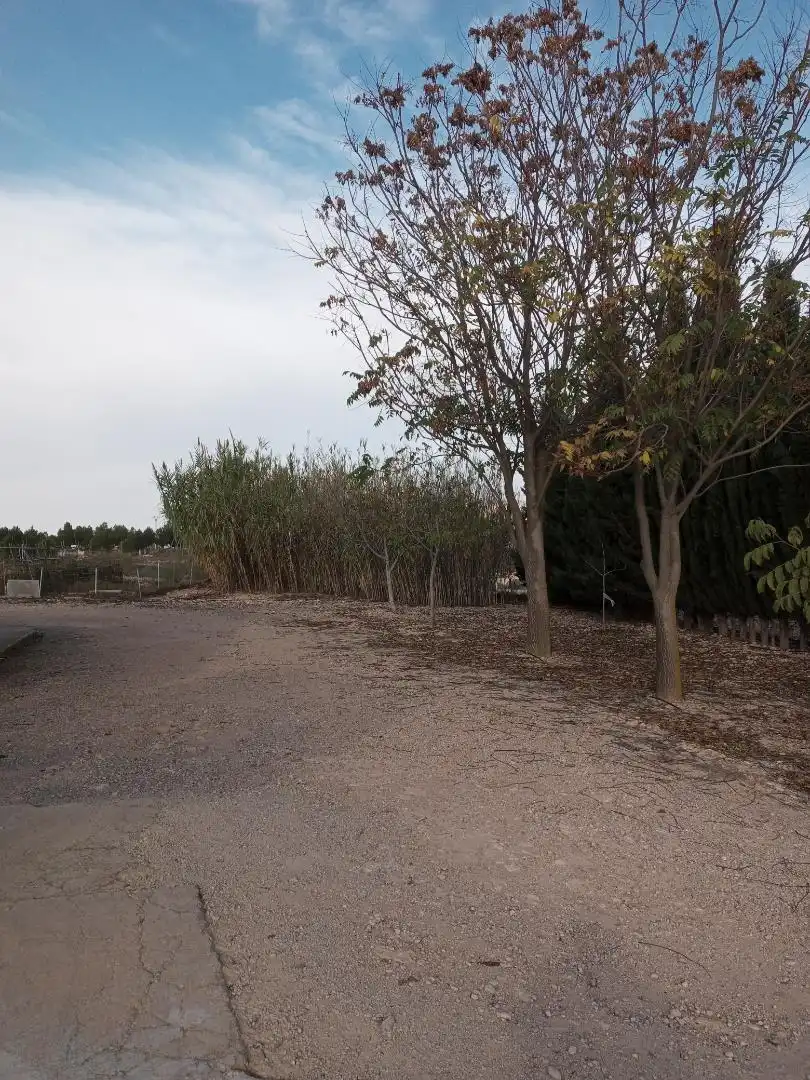 Casa o chalet en venta en Almansa Casa o chalet en venta en Almansa con Piscina