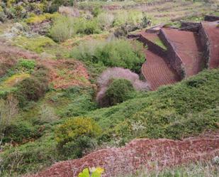 Garden of Land for sale in Agulo