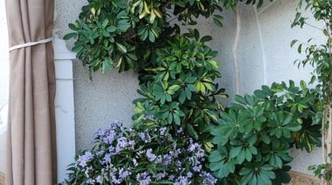 Country house for sale in Calle Vereda de la Conchuela, El Higuerón, Córdoba - image 4 Photo 4 of Country house for sale in Calle Vereda de la Conchuela, El Higuerón, Córdoba