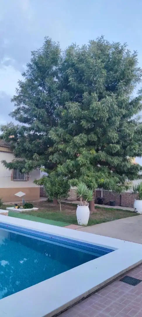 Country house zum Verkauf in Calle Vereda de la Conchuela, El Higuerón Garten von Country house zum Verkauf in Córdoba Capital mit Klimaanlage und Schwimmbad