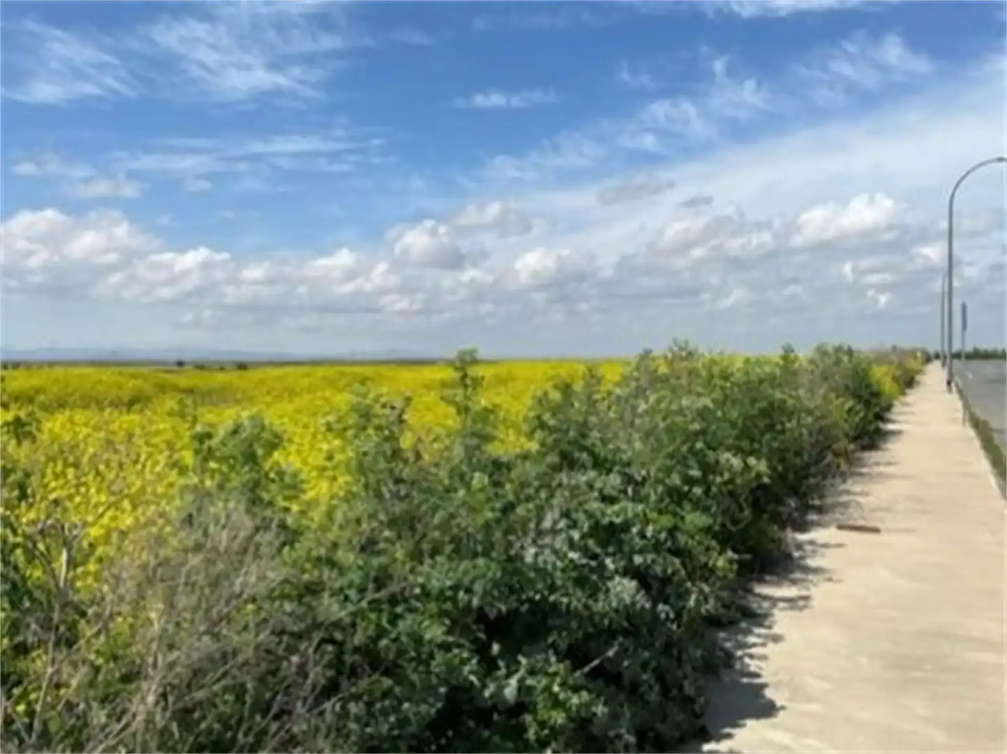 Country homes for sale in Polígono Industrial Sepes, Alberic Country homes for sale in Alberic