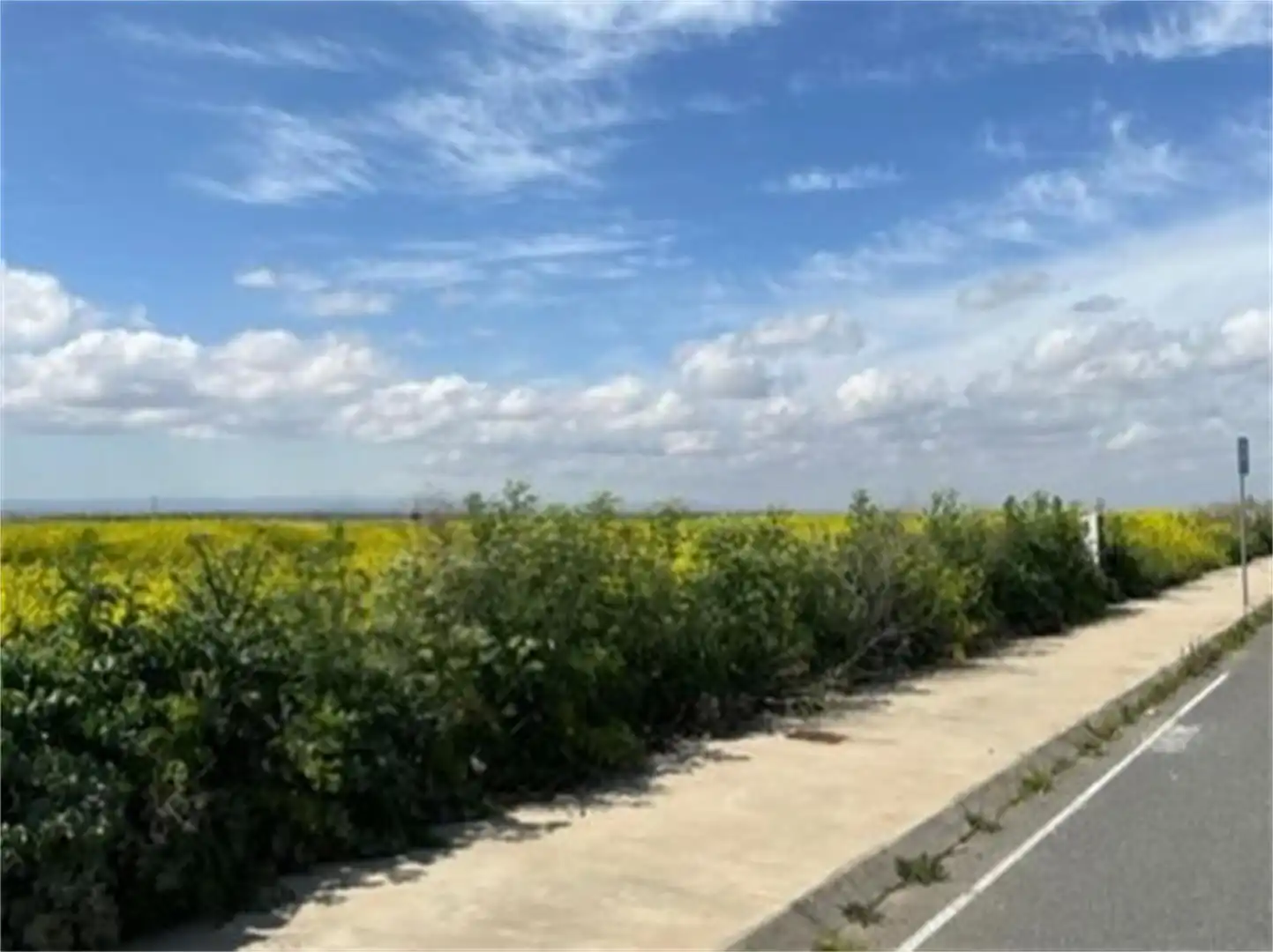 Country homes for sale in Polígono Industrial Sepes, Alberic Country homes for sale in Alberic
