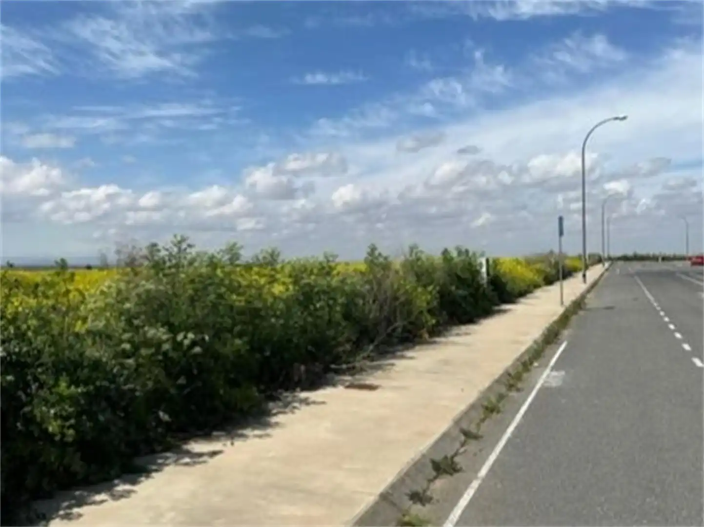 Country homes for sale in Polígono Industrial Sepes, Alberic Country homes for sale in Alberic