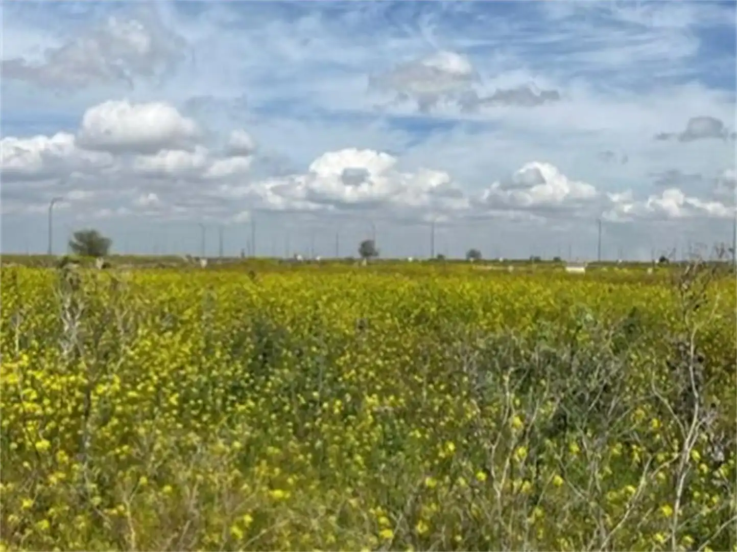 Country homes for sale in Polígono Industrial Sepes, Alberic Country homes for sale in Alberic