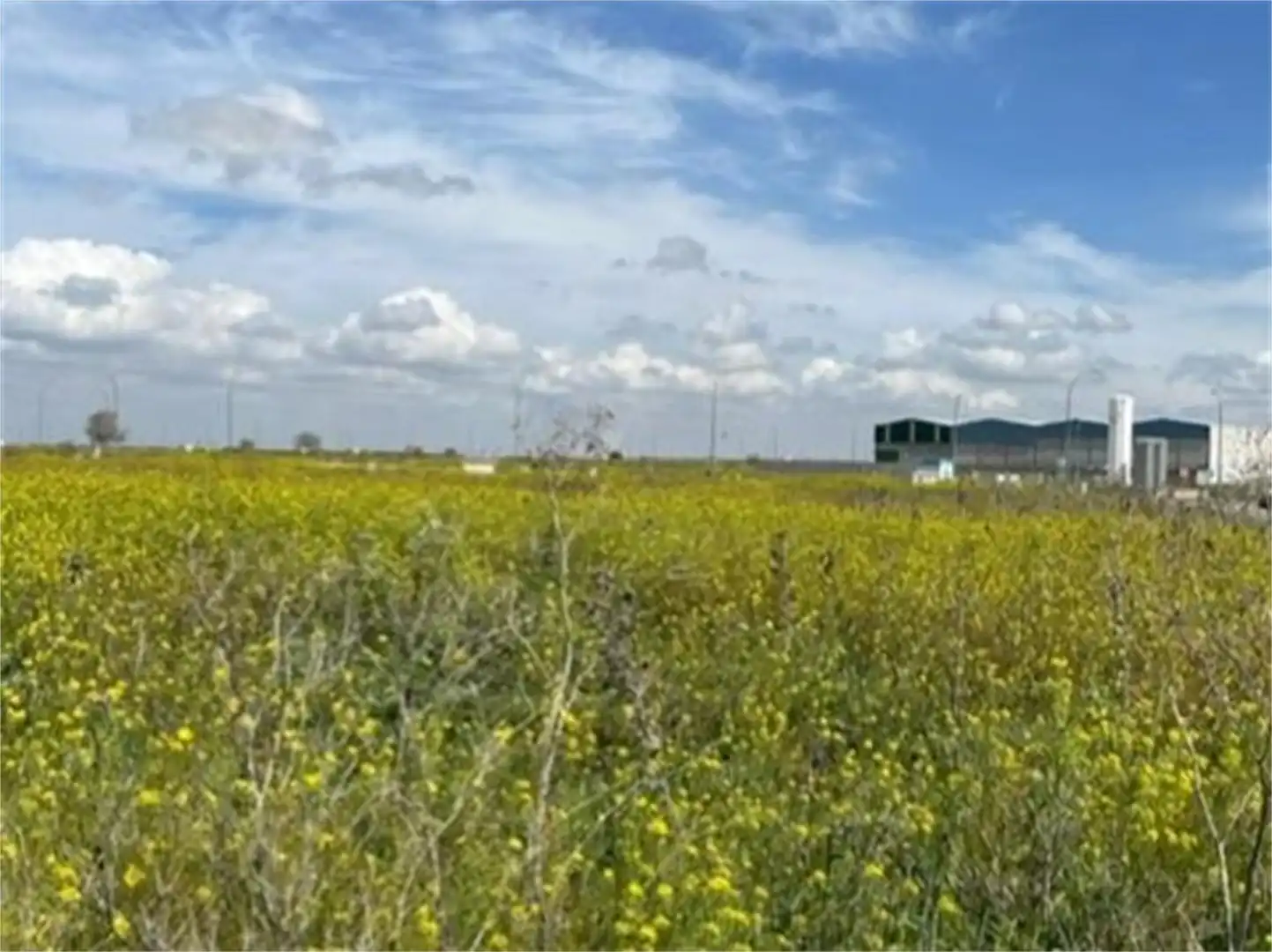 Country homes for sale in Polígono Industrial Sepes, Alberic Country homes for sale in Alberic