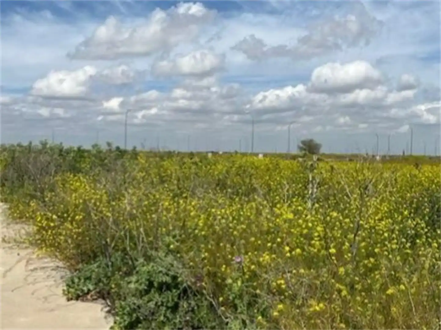 Country homes for sale in Polígono Industrial Sepes, Alberic Country homes for sale in Alberic