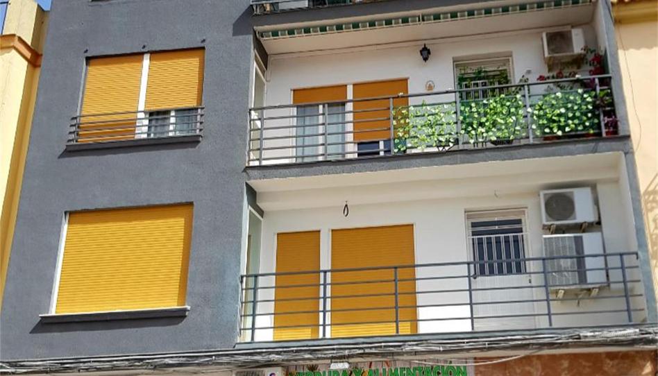 Flat for sale in Calle del Caballero de Gracia, Torredonjimeno, Jaén - image 1 Photo 1 of Flat for sale in Calle del Caballero de Gracia, Torredonjimeno, Jaén