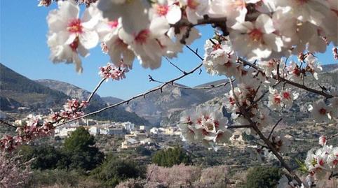 Country house for sale in Diseminado Diseminados, 159, Confrides, Alicante - image 2 Photo 2 of Country house for sale in Diseminado Diseminados, 159, Confrides, Alicante