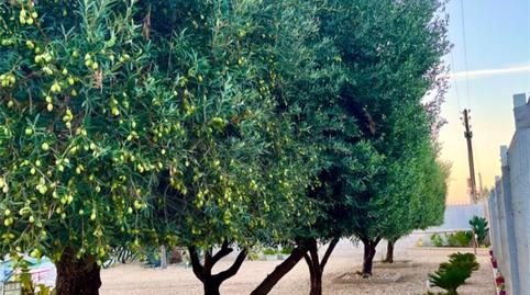 Foto 5 de Casa o xalet en venda a Partida el Boch, Crevillent, Alicante