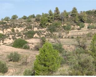 Land for sale in La Pobla de Cérvoles