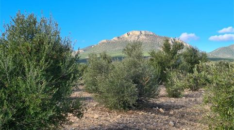 Finca rústica en venta en Calle Parroquia, La Tova, Lorca - imagen 4 Foto 4 de Finca rústica en venta en Calle Parroquia, La Tova, Lorca