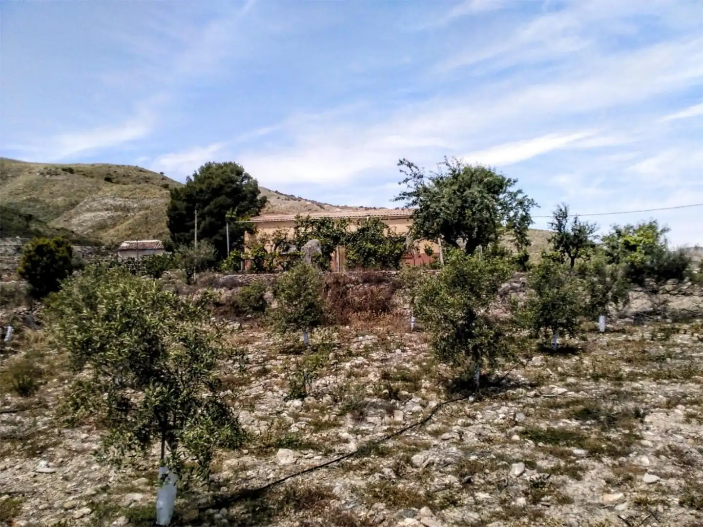 Finca rústica en venda a A-1101, Lubrín Finca rústica en venda en Lubrín