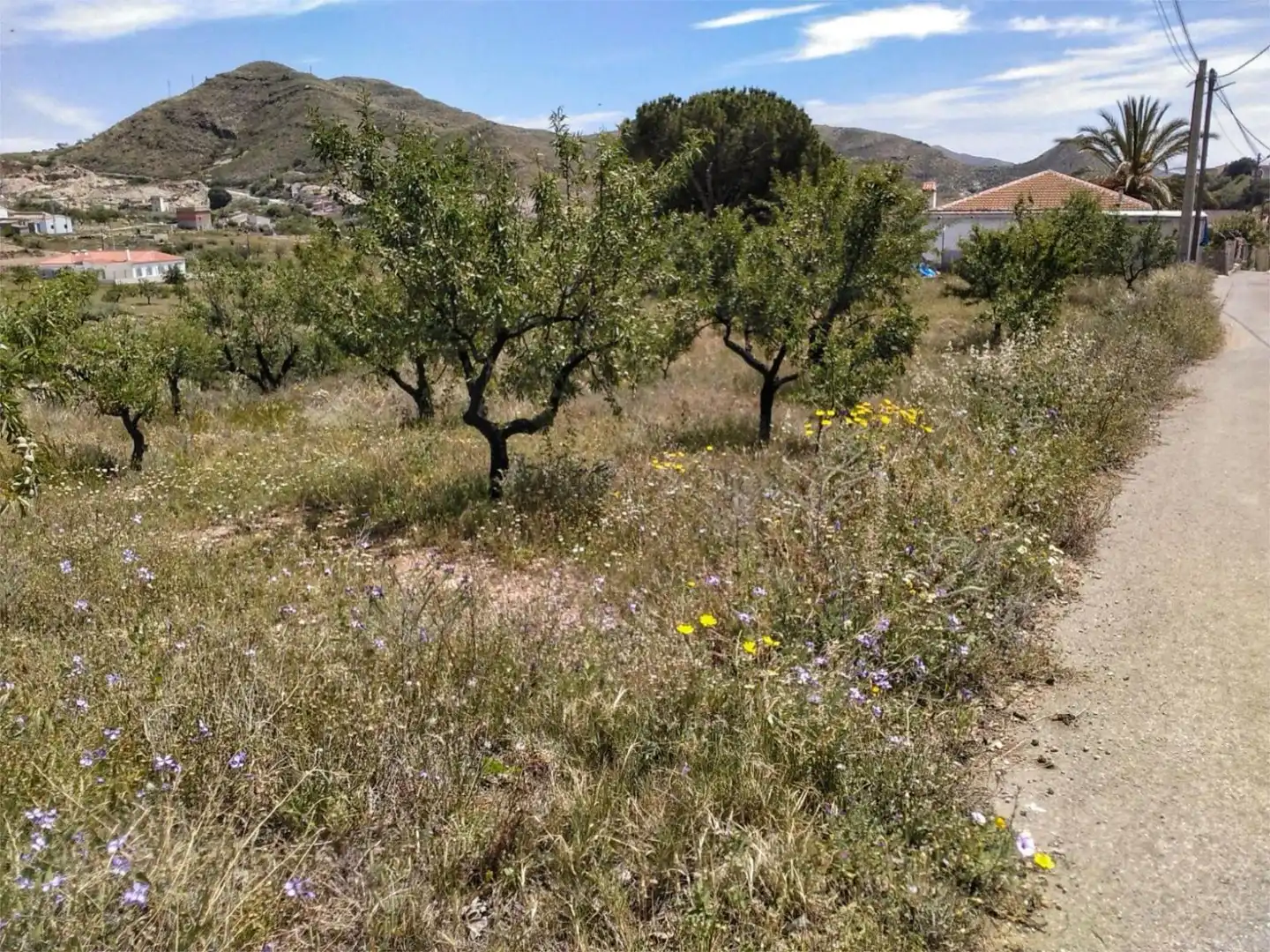 Finca rústica en venda a A-1101, Lubrín Finca rústica en venda en Lubrín