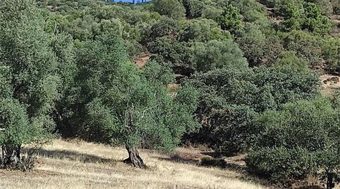 Foto 3 de Terreno en venta en El Higuerón, Córdoba Capital