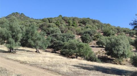 Foto 4 de Terreno en venta en El Higuerón, Córdoba Capital