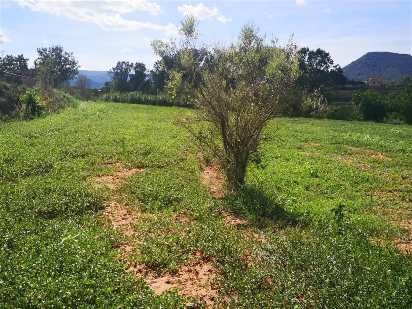 No Urbanitzable en venda a Carrer Muralla de Sant Domènec, Barri Antic No Urbanitzable en venda en Manresa