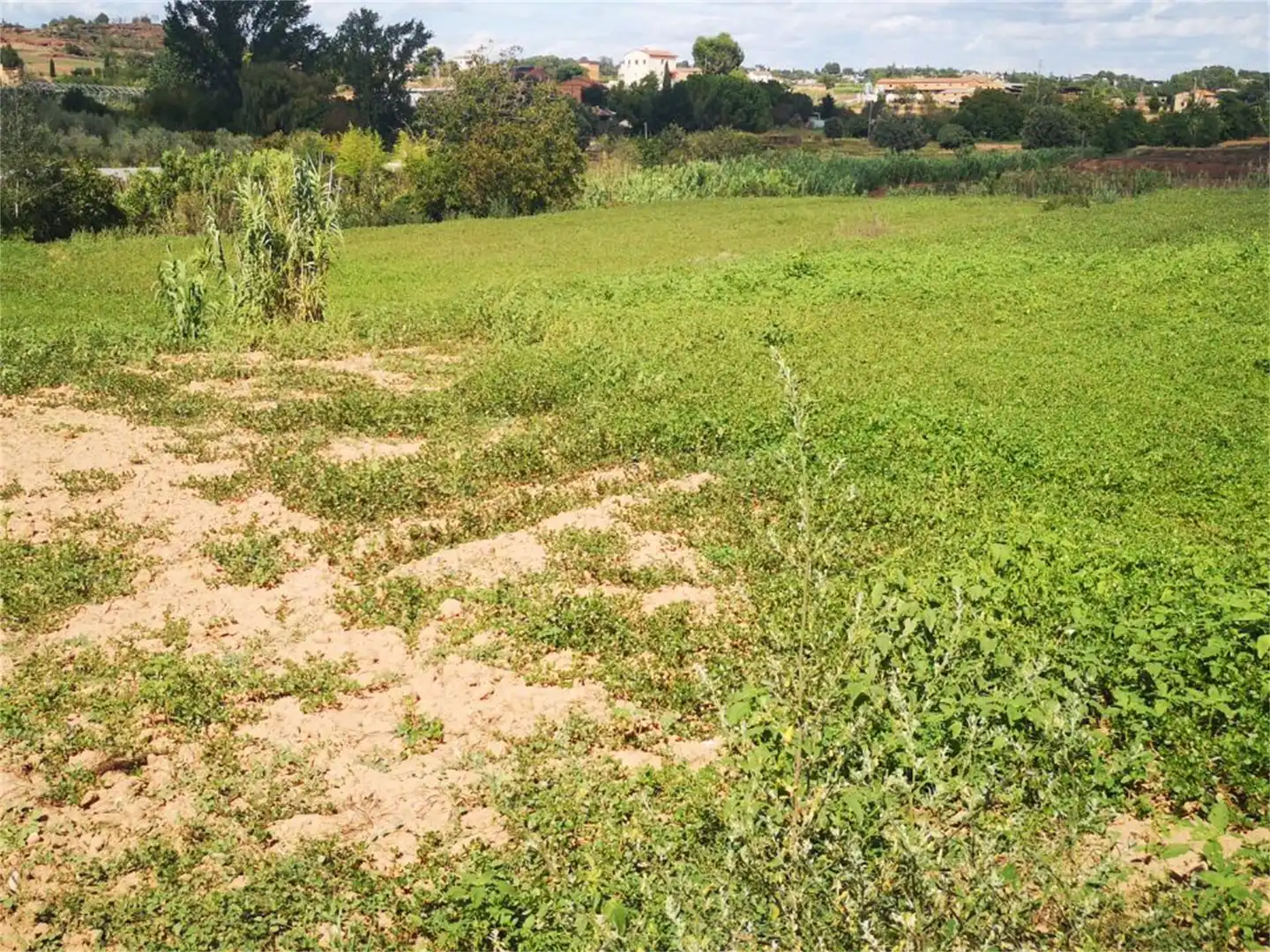 No Urbanitzable en venda a Carrer Muralla de Sant Domènec, Barri Antic No Urbanitzable en venda en Manresa