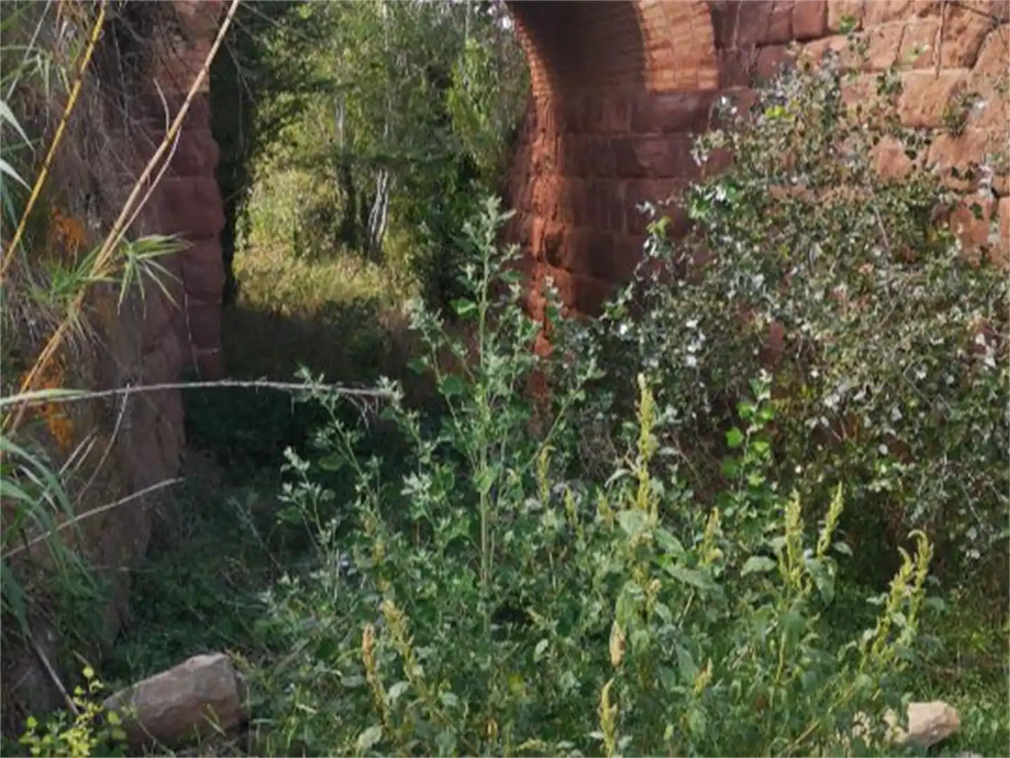 No Urbanitzable en venda a Carrer Muralla de Sant Domènec, Barri Antic Jardí de No Urbanitzable en venda en Manresa