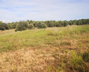 Non-constructible Land for sale in Fonollosa