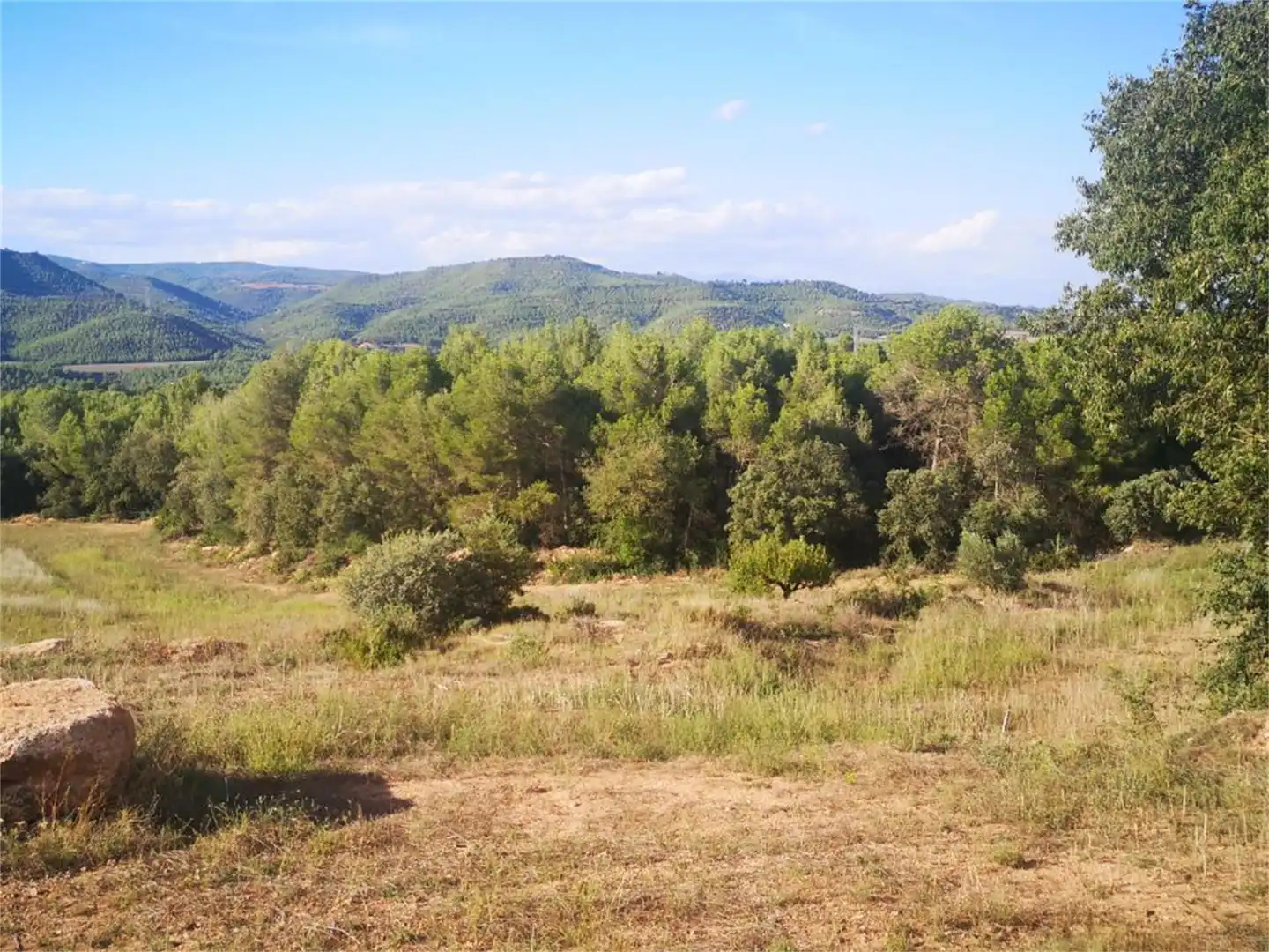 Nicht bebaubares Gelände zum Verkauf in Carretera de Manresa a Calaf, Fonollosa Nicht bebaubares Gelände zum Verkauf in Fonollosa