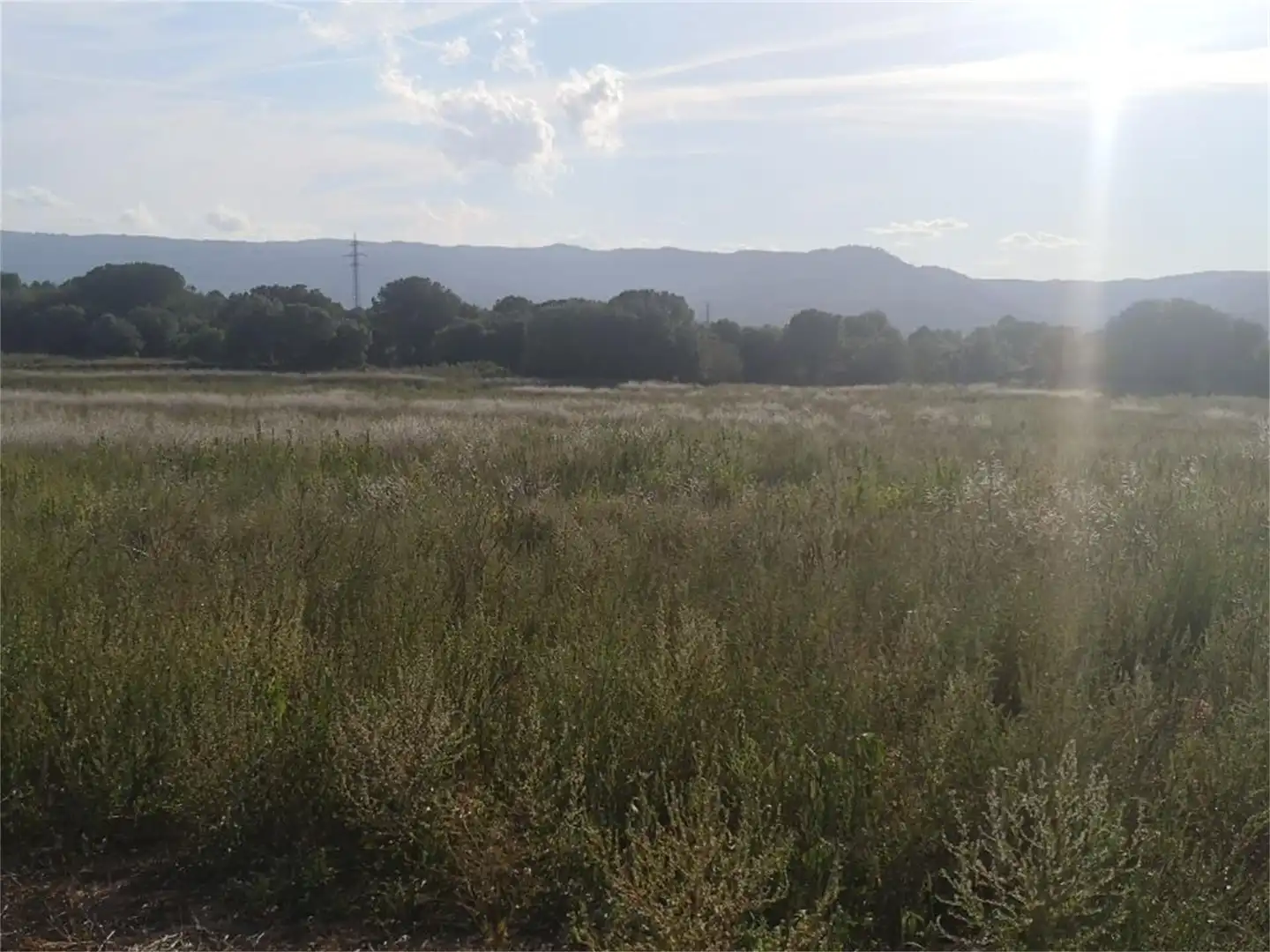 Nicht bebaubares Gelände zum Verkauf in Carretera de Manresa a Calaf, Fonollosa Nicht bebaubares Gelände zum Verkauf in Fonollosa