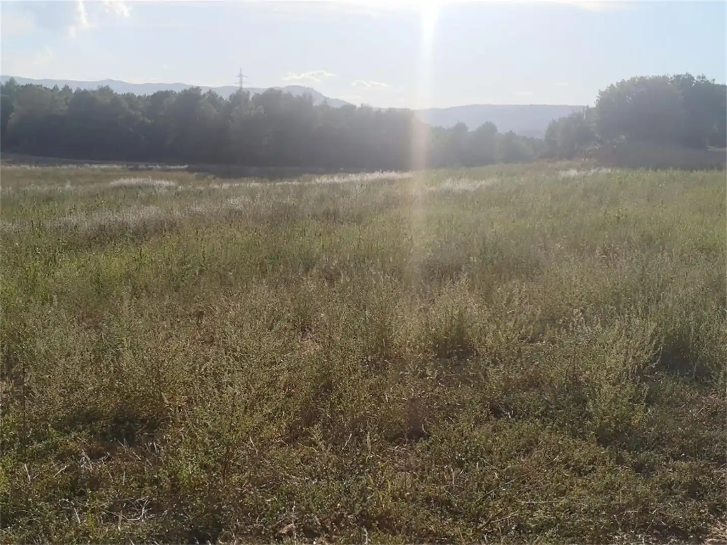 Nicht bebaubares Gelände zum Verkauf in Carretera de Manresa a Calaf, Fonollosa Nicht bebaubares Gelände zum Verkauf in Fonollosa