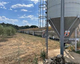 Vista exterior de Finca rústica en venda en Piera