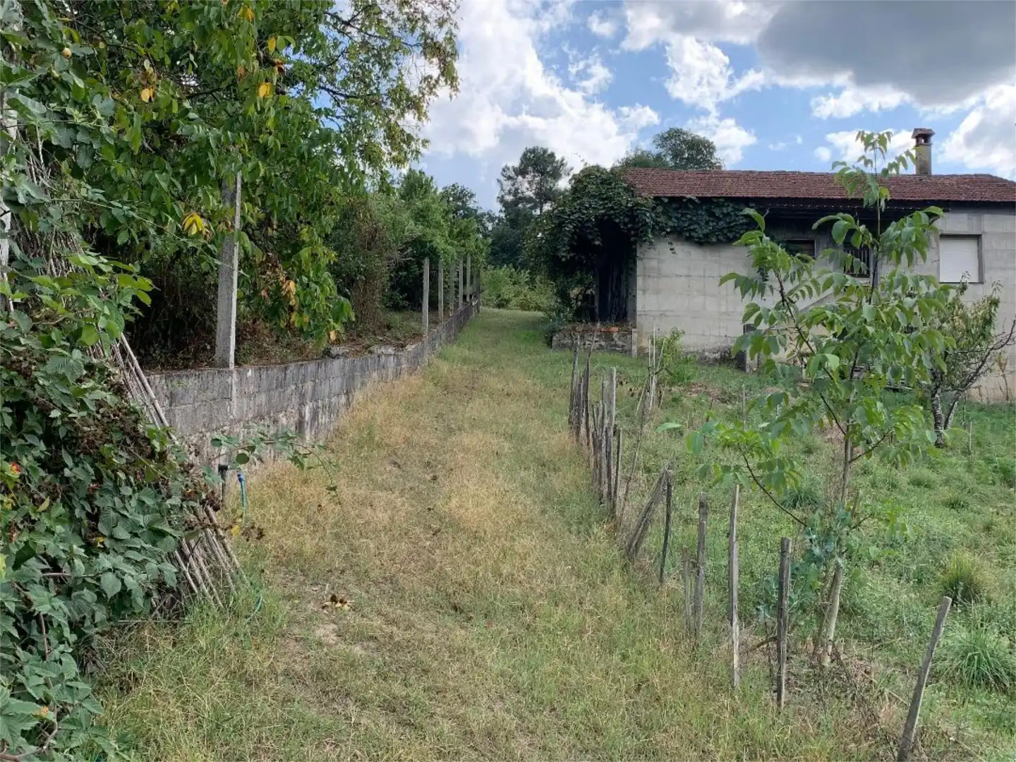 Constructible Land for sale in Lugar O Cirro, San Rosendo Constructible Land for sale in Ourense Capital