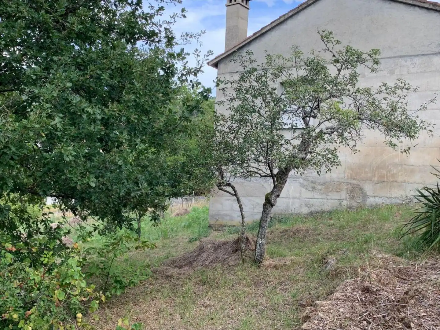 Constructible Land for sale in Lugar O Cirro, San Rosendo Constructible Land for sale in Ourense Capital