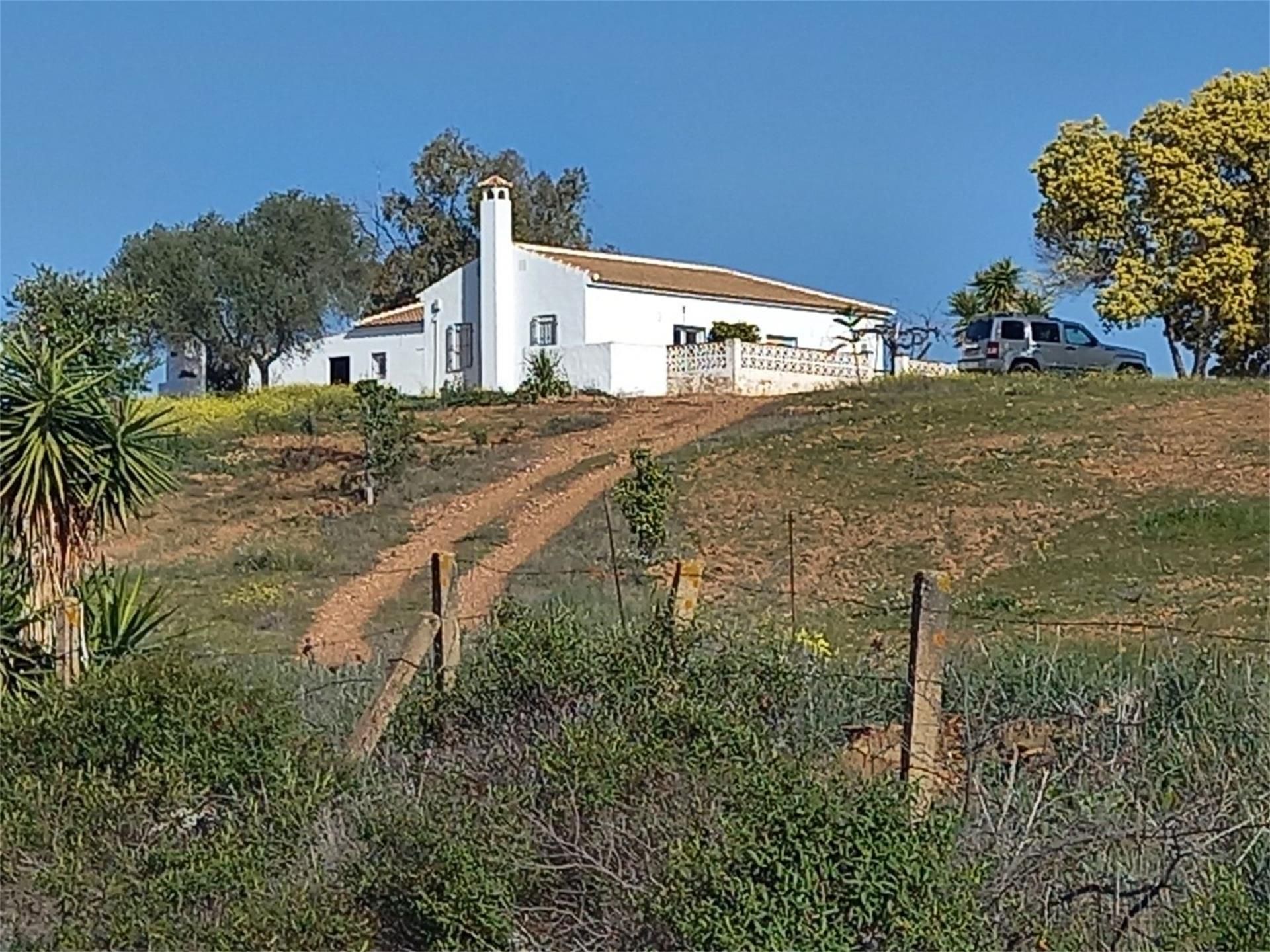 Exterior view of Land for sale in Alosno