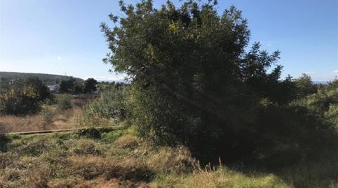 Foto 5 de Finca rústica en venta en Calle Vent de Migjorn, 33, Santa Bárbara, Llíria