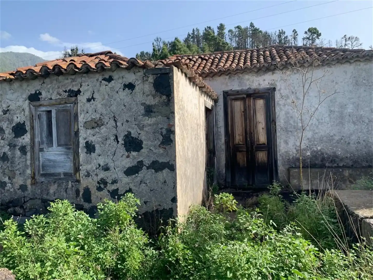Vista exterior de Finca rústica en venta en Tijarafe