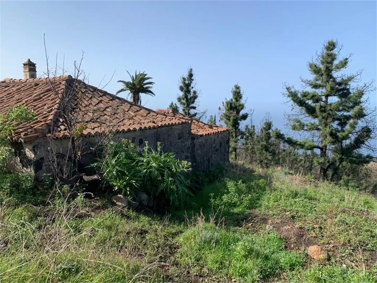 Finca rústica en venta en Tijarafe
