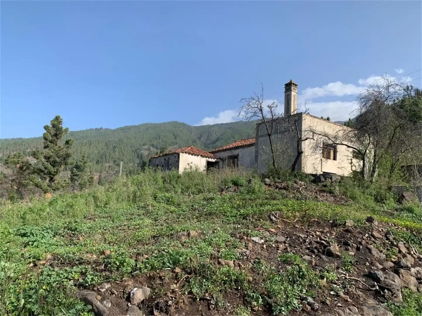Vista exterior de Finca rústica en venta en Tijarafe